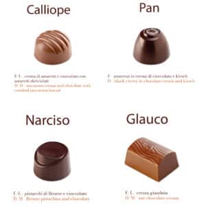 cioccolatini artigianali online